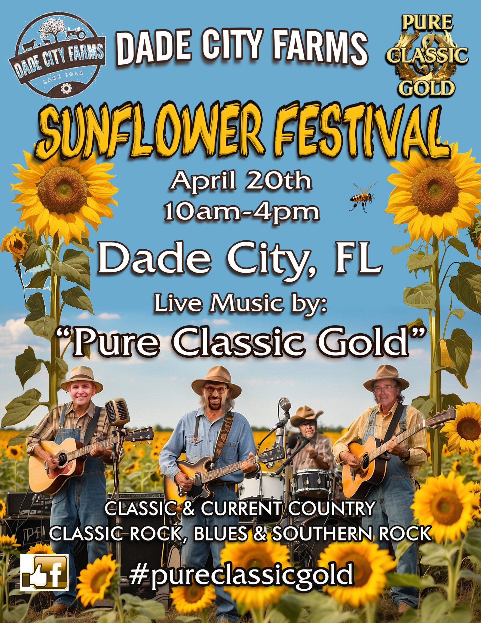Pure Classic Gold Sunflower Festival